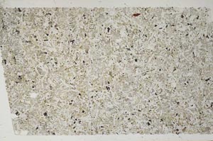 Plane Polarized, S61955