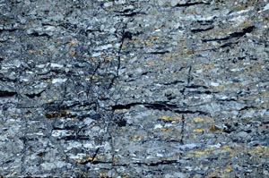 Cross Polarized, S61958