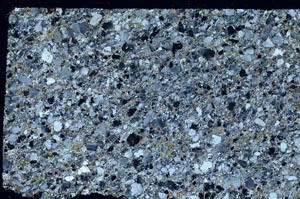 Cross Polarized, S61961