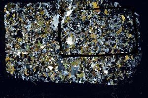 Cross Polarized, S61962