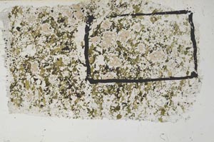 Plane Polarized, S61962