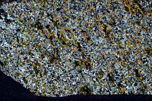 Cross Polarized, S61963