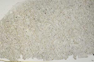 Plane Polarized, S61965