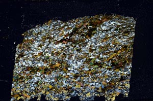 Cross Polarized, S61966