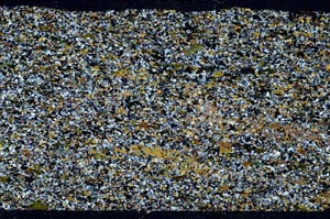 Cross Polarized, S61978