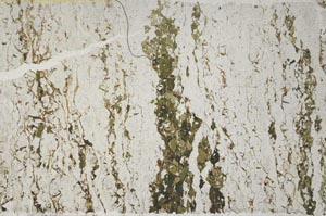 Plane Polarized, S61980