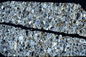 Cross Polarized, S61981