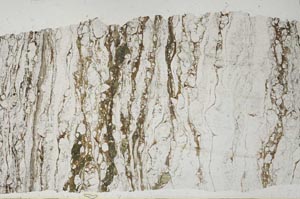 Plane Polarized, S61982