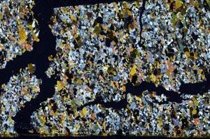 Cross Polarized, S61983