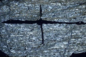 Cross Polarized, S61984