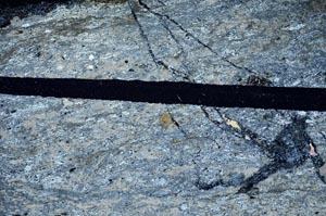 Cross Polarized, S61994