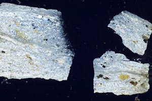 Cross Polarized, S61995