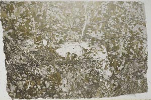 Plane Polarized, S61996