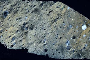 Cross Polarized, S62000