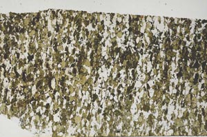 Plane Polarized, S62001