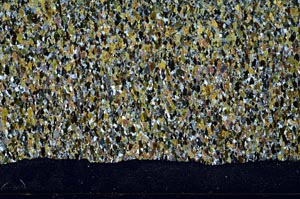 Cross Polarized, S62019