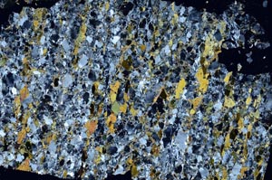 Cross Polarized, S62020