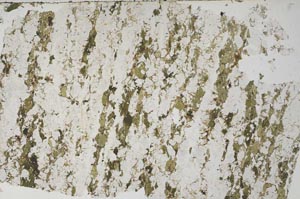 Plane Polarized, S62020