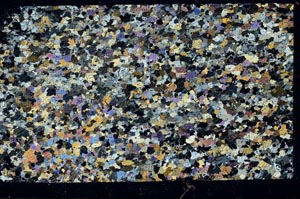 Cross Polarized, S62021