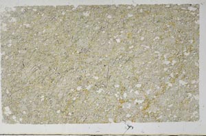 Plane Polarized, S62021