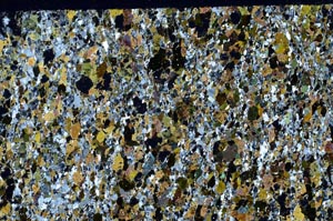 Cross Polarized, S62022