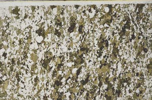 Plane Polarized, S62022