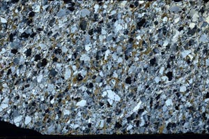 Cross Polarized, S62023