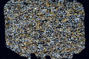 Cross Polarized, S62024