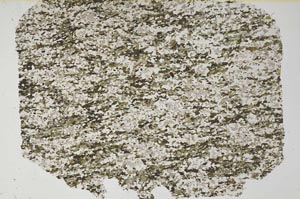 Plane Polarized, S62024