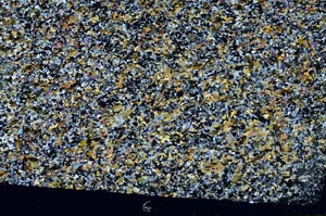 Cross Polarized, S62025