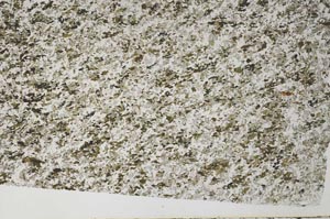 Plane Polarized, S62025