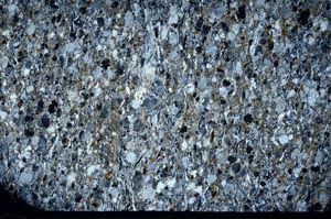 Cross Polarized, S62056