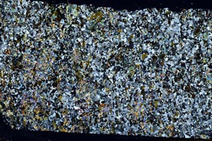 Cross Polarized, S62057