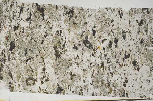 Plane Polarized, S62057