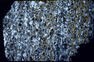 Cross Polarized, S62058