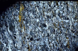 Cross Polarized, S62059