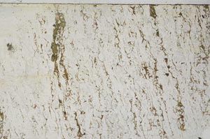 Plane Polarized, S62059