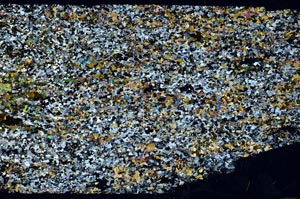 Cross Polarized, S62060