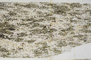 Plane Polarized, S62060