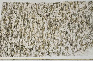 Plane Polarized, S62062