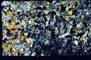 Cross Polarized, S62073