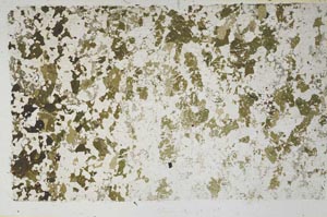 Plane Polarized, S62073