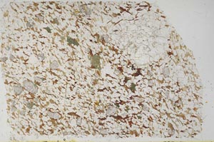 Plane Polarized, S62083