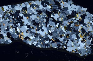 Cross Polarized, S62084/A