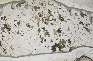 Plane Polarized, S62085