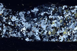 Cross Polarized, S62085/A