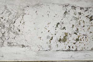 Plane Polarized, S62085/A