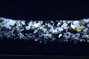 Cross Polarized, S62086/A