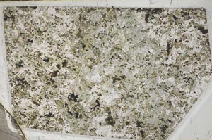 Plane Polarized, S62087