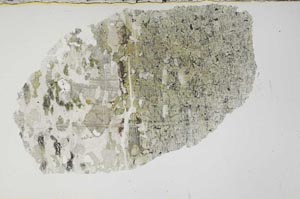 Plane Polarized, S62095